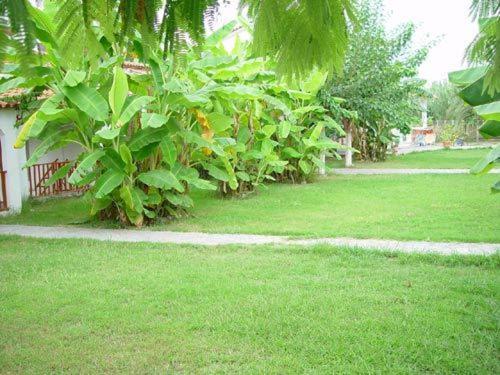 Banana Place Aparthotel Zacharo Exterior foto